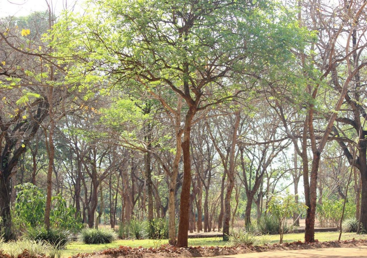 Barefoot Lodge And Safaris - Malawi 利隆圭 外观 照片